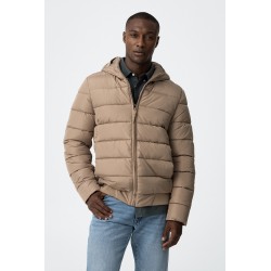 Chaqueta Bristol Camel
